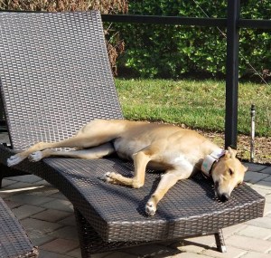 tildy lounging february 2018